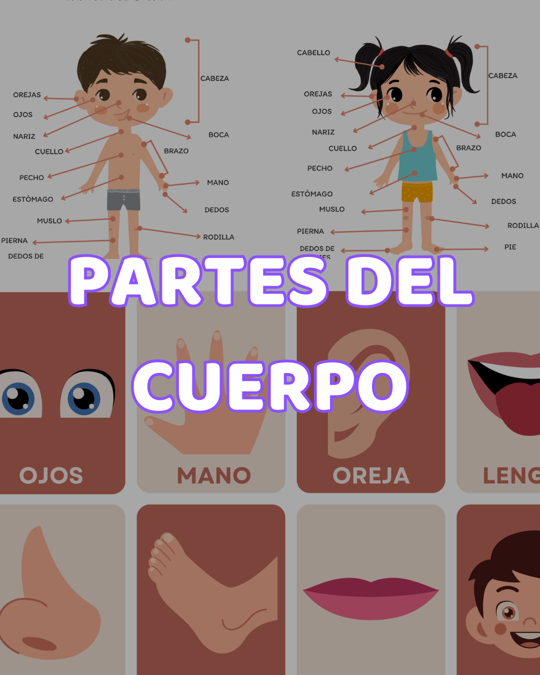 🧩Sistema Aprender en Casa ·  2 años